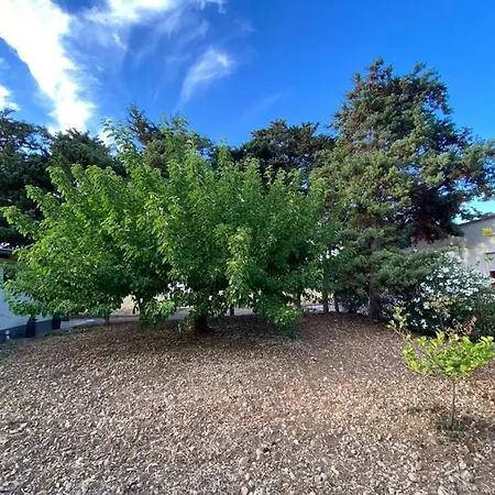 Appartamento La Casa Del Gelso Tonnara di Bonagia