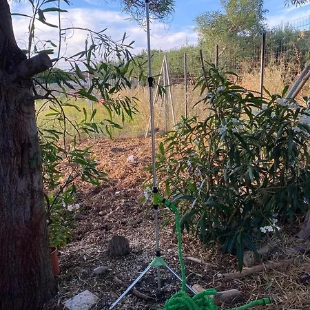 La Casa Del Gelso * Tonnara di Bonagia