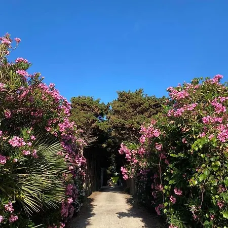 La Casa Del Gelso Appartamento Tonnara di Bonagia