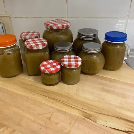 Appartamento La Casa Del Gelso *